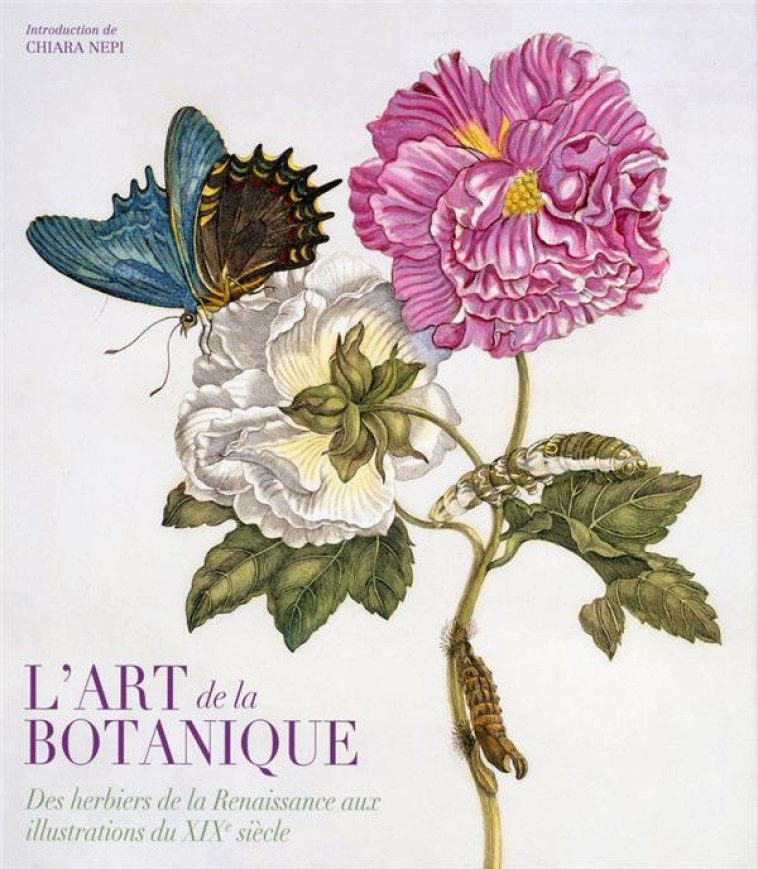 L'ART DA LA BOTANIQUE  -  DES HERBIERS DE LA RENAISSANCE AUX ILLUSTRATIONS DU XIXE SIECLE - ACCORSI/BRILLANTE - NC