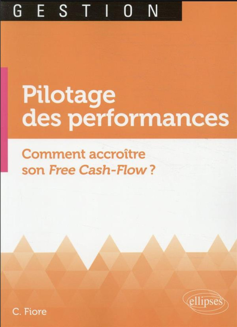 LE PILOTAGE DES PERFORMANCES - FIORE CLAUDE - ELLIPSES MARKET