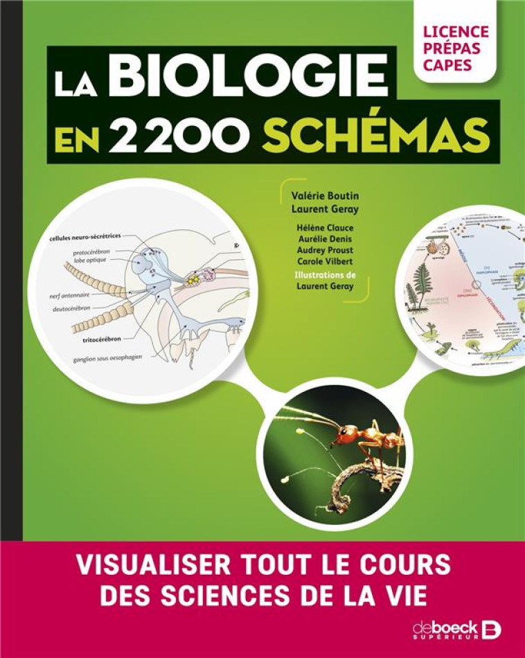 BIOLOGIE EN SCHEMAS - BOUTIN/GERAY/CLAUCE - DE BOECK SUP