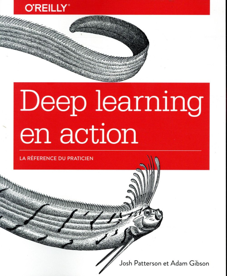 LE DEEP LEARNING - PATTERSON/GIBSON - FIRST