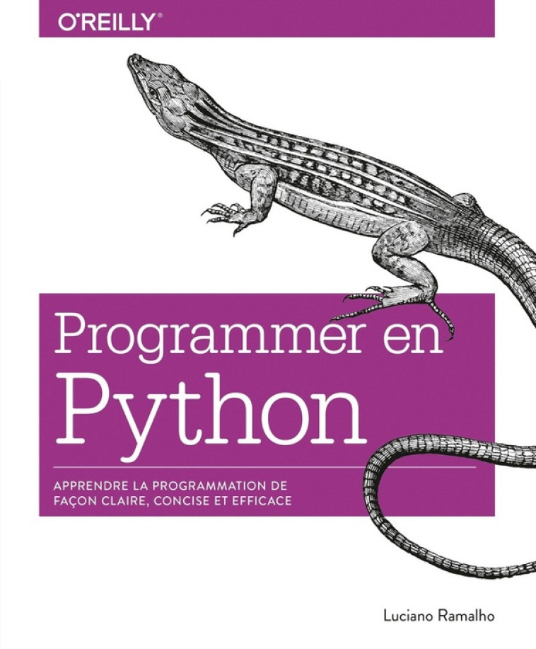 PROGRAMMER AVEC PYTHON - RAMALHO LUCIANO - FIRST