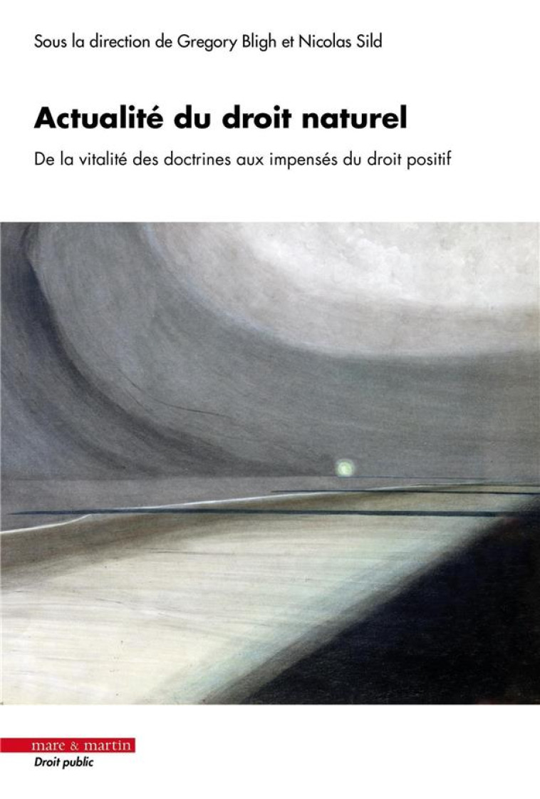 ACTUALITE DU DROIT NATUREL - DE LA VITALITE DES DOCTRINES AUX IMPENSES DU DROIT - BLIGH/SILD - MARE MARTIN