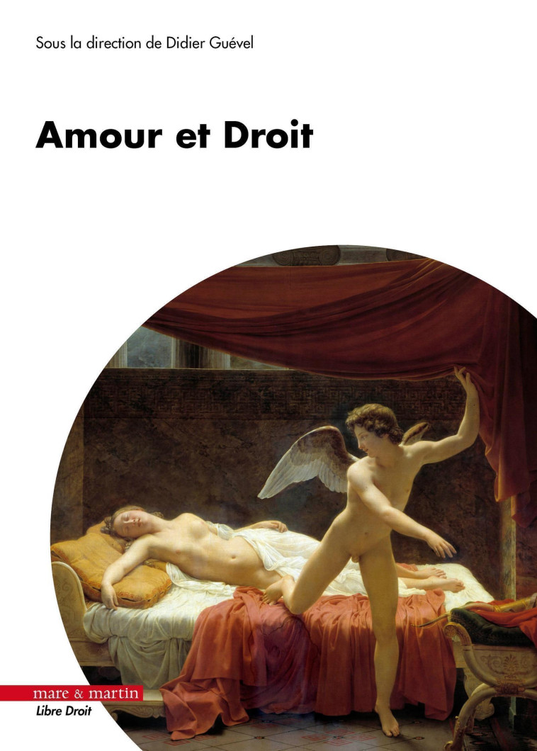 AMOUR ET DROIT - GUEVEL DIDIER - MARE MARTIN