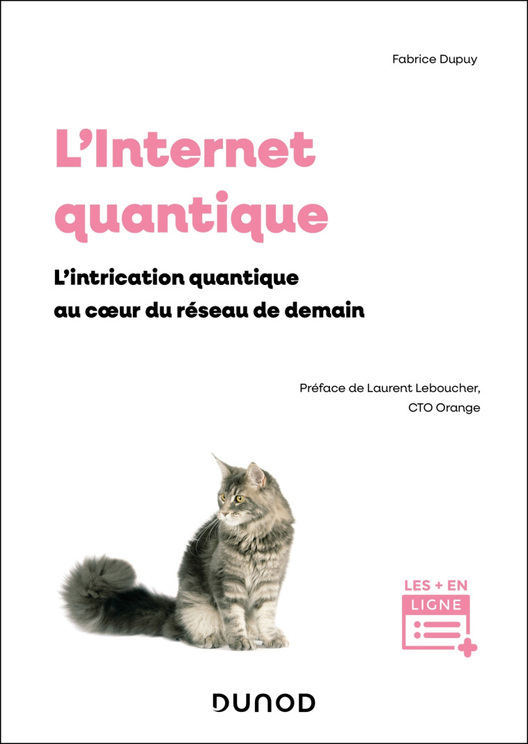 L'INTERNET QUANTIQUE - L'INTRICATION QUANTIQUE AU COEUR DU RESEAU DE DEMAIN - DUPUY FABRICE - DUNOD