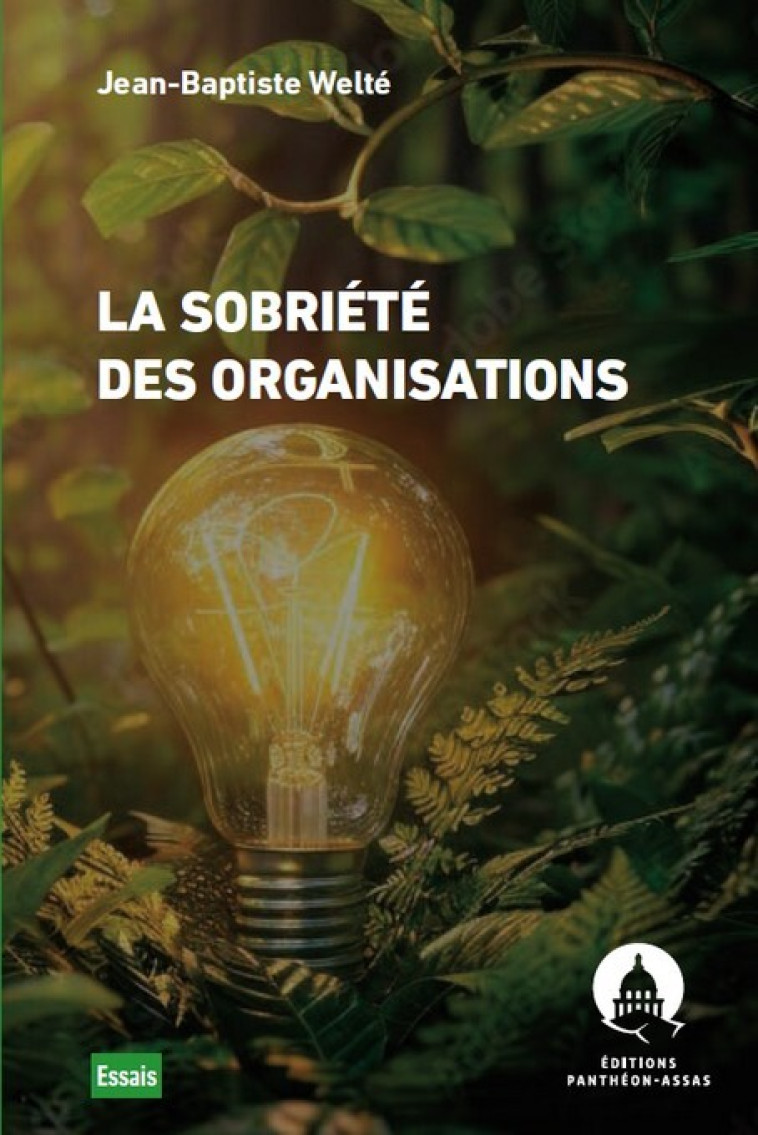 LA SOBRIETE DES ORGANISATIONS - WELTE JEAN-BAPTISTE - PANTHEON ASSAS